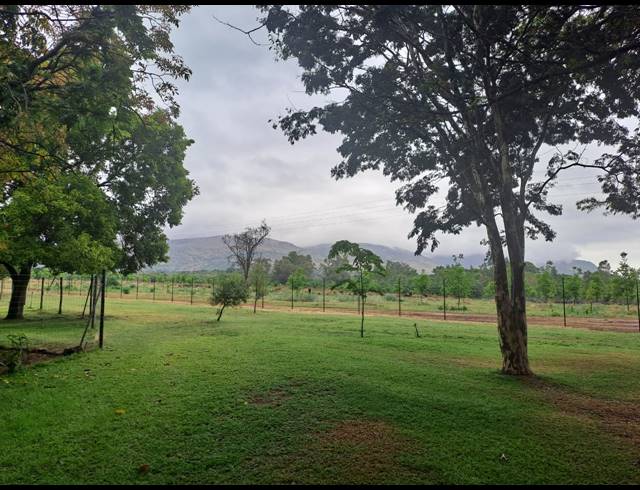37.90HA FARM FOR SALE IN MODDERFONTEIN AH